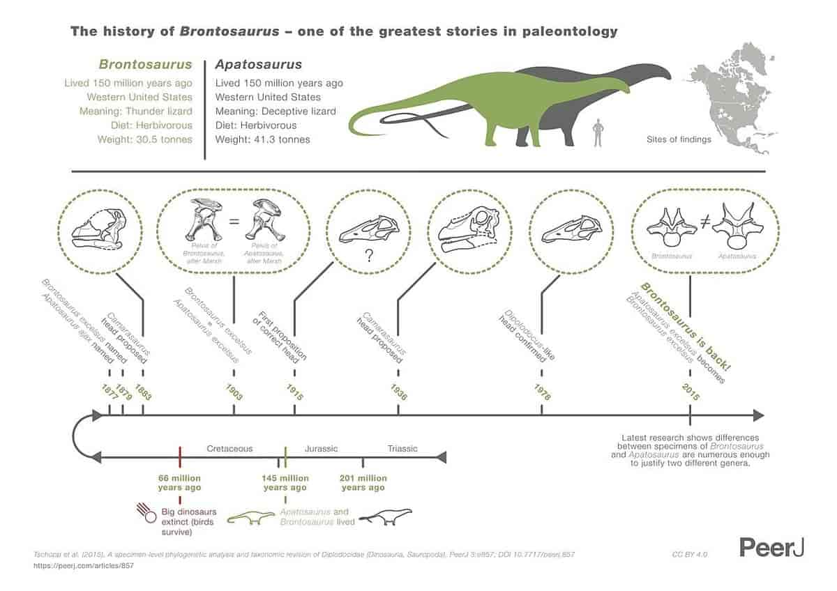 Historien om Brontosaurus