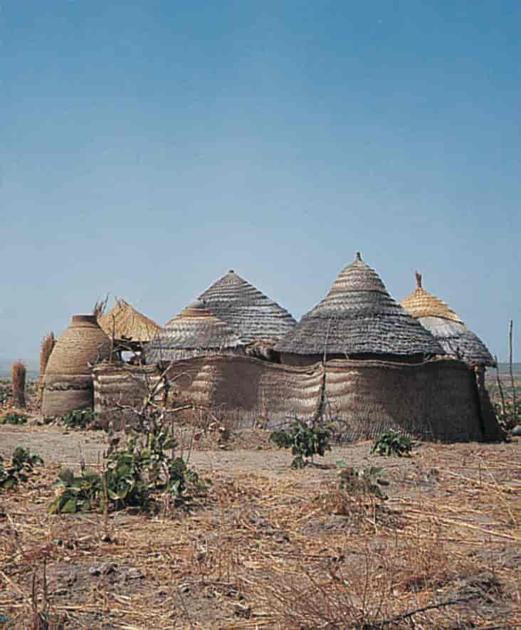 Hus (stråhytter, Kamerun)