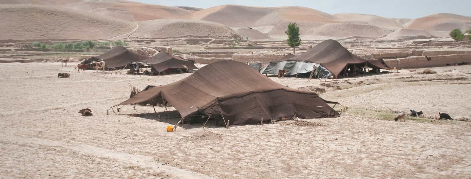 Afghanske nomader