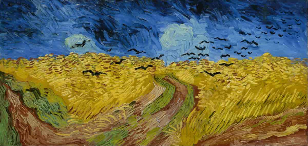 Vincent Van Gogh photo #88801, Vincent Van Gogh image