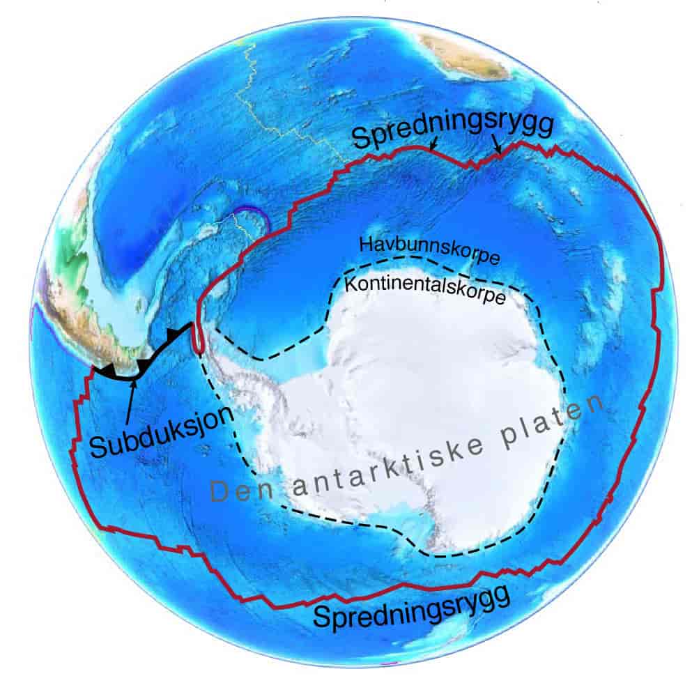 Den antarktiske platen