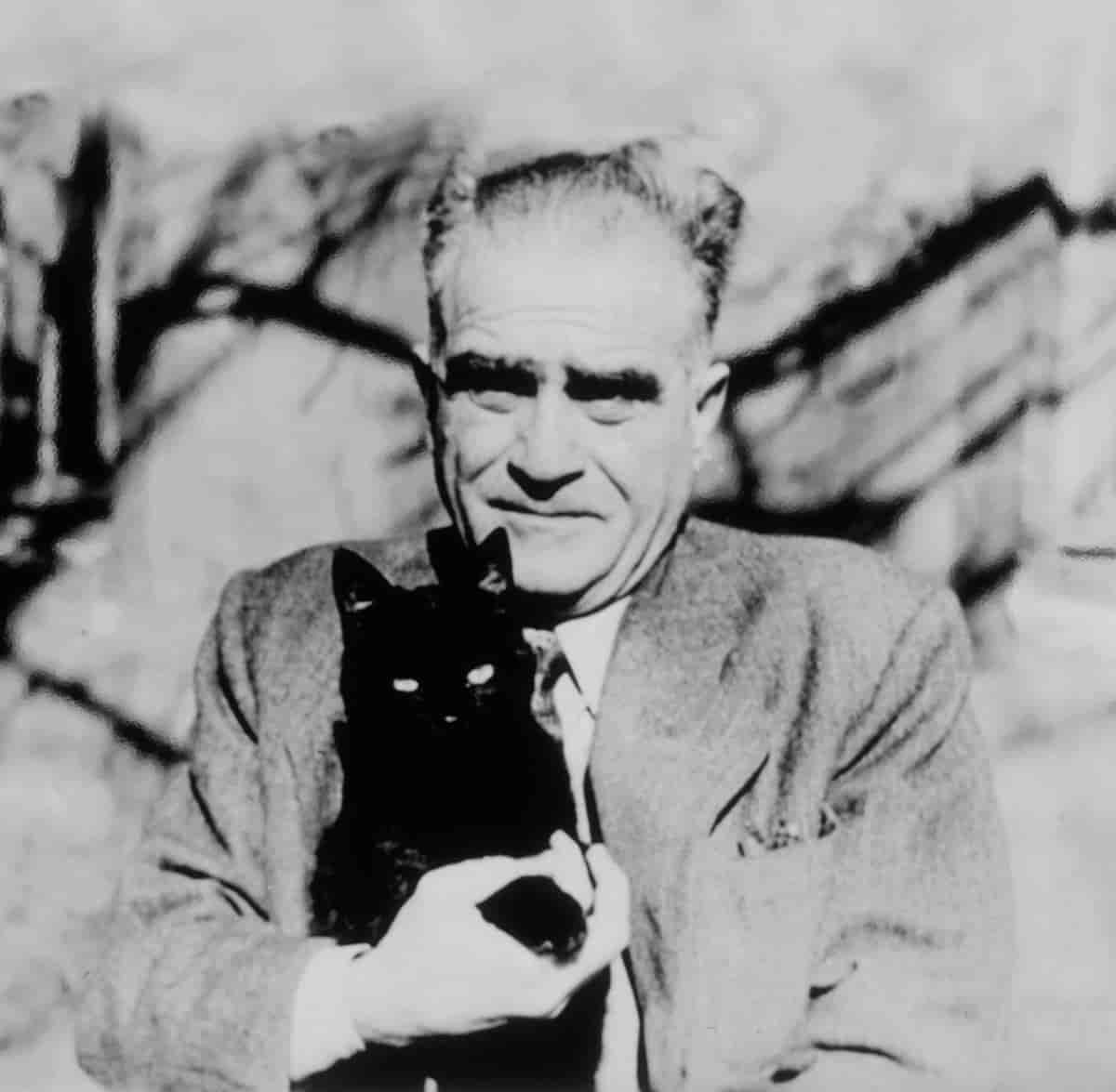 'forfatter Ahmet Hamdi Tanpınar med katt'