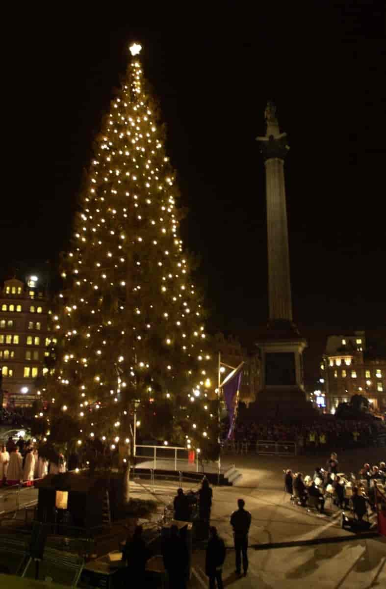 Juletre på Trafalgar Square