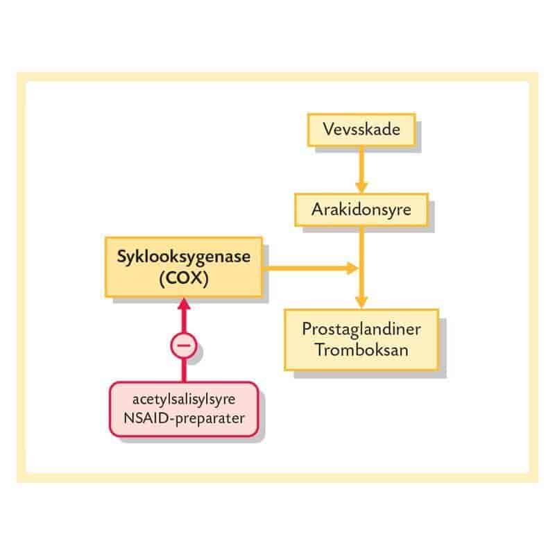 Virkningsmekanismen til acetylsalisylsyre og NSAIDs