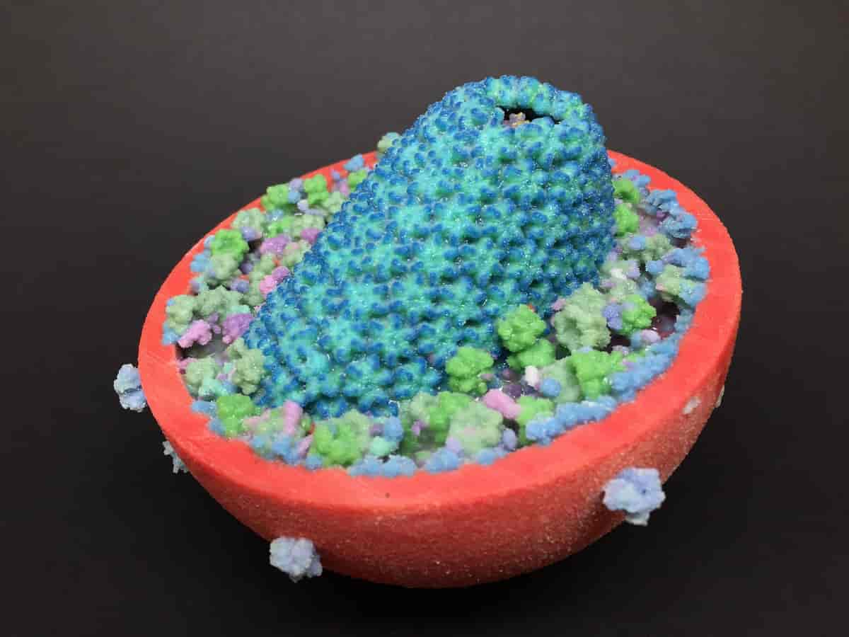 Fargelagt 3D-modell av hiv virus