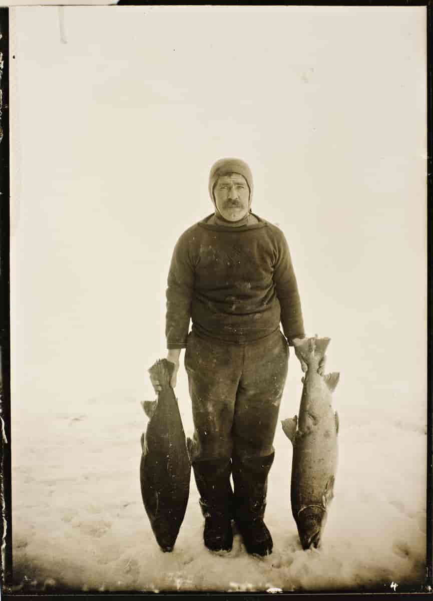 Adolf Lindstrøm med prøver av fisken på King William Island, 1904