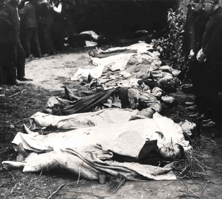 Pogromen-ofre, 1903