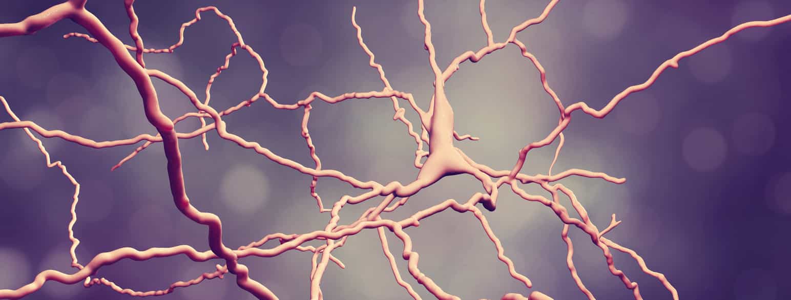 Illustrasjon av dopaminerge nevroner