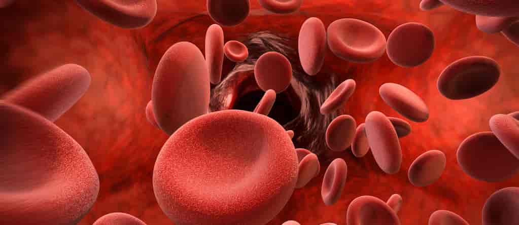 Røde blodceller