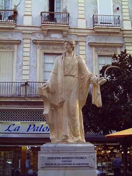 Statue.Columella i Plaza de las Flores, Cádiz.