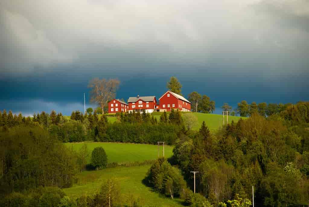 Ekne i Nord-Trøndelag