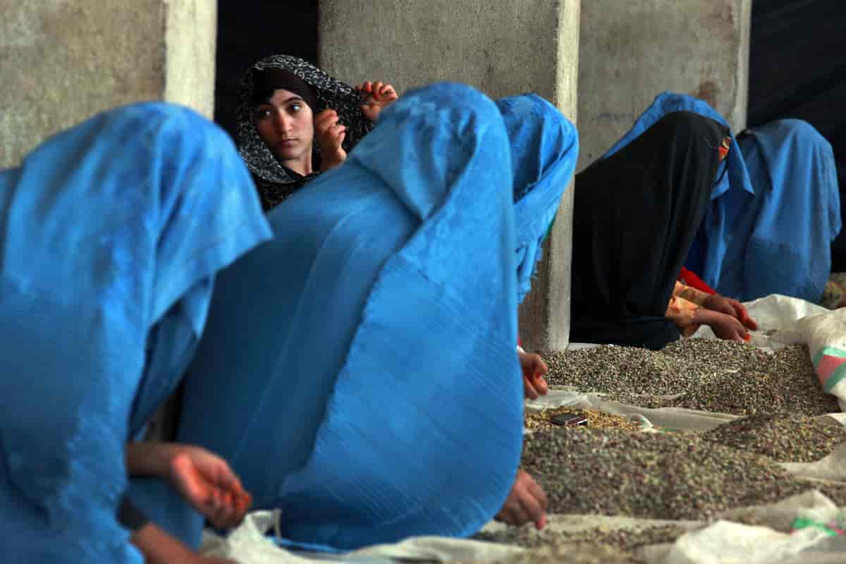 Afghanske kvinner