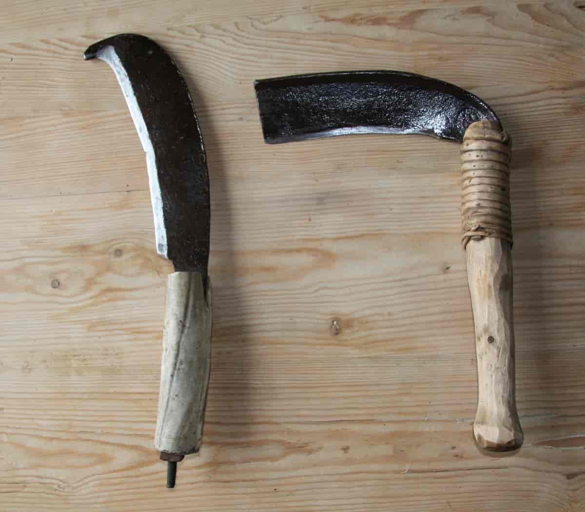 Til venstre en lauvkniv fra Borgund i Sogn og Fjordane. Håndtaket er laget av horn. Til høyre en lauvkniv fra Trøndelag, laget av en avbrukket  ljå. Bladet er surret til skaftet med en vidje.