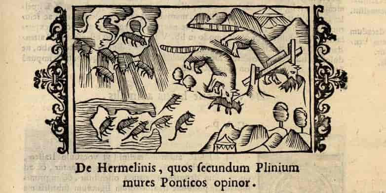 Historia de gentibus septentrionalibus