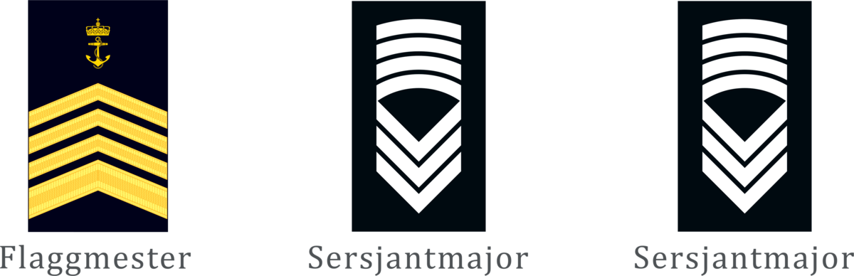 Flaggmester/sersjantmajor: Gradsmerke i henholdsvis sjøforsvaret, luftforsvaret og hæren av Forsvaret.