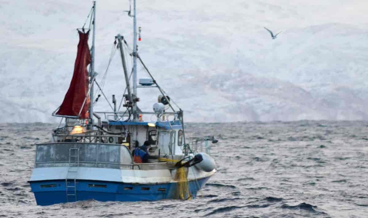 Småskala fiskebåt Norge