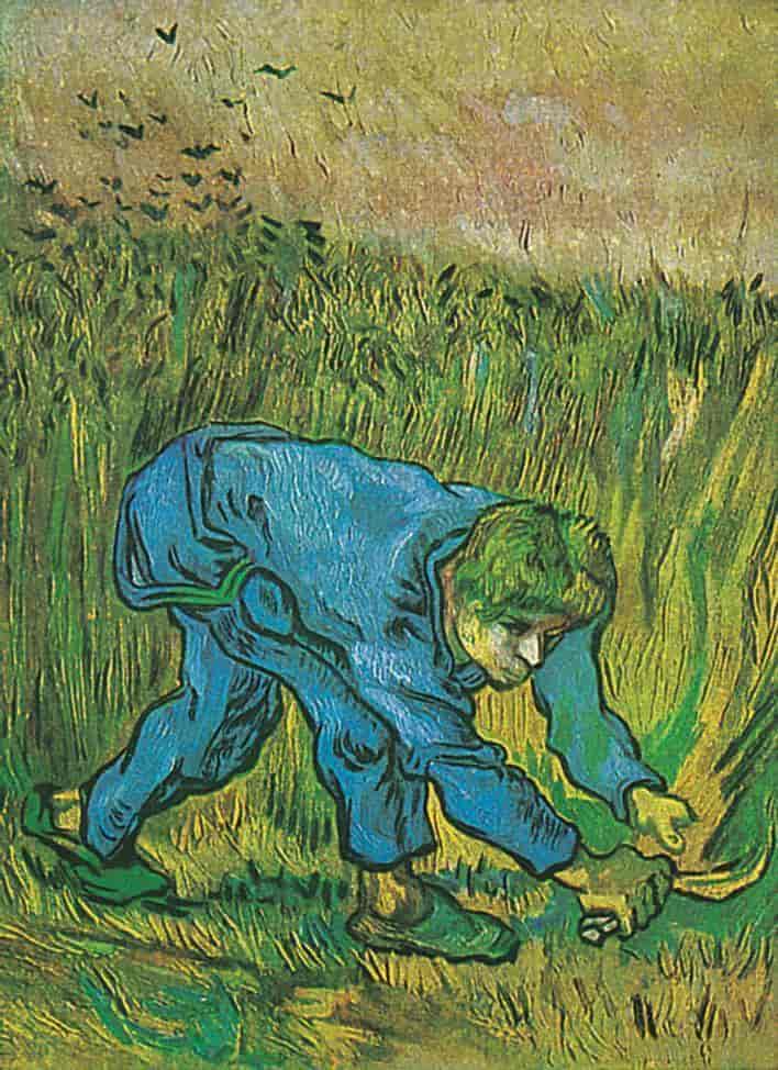 Vincent Van Gogh photo #88822, Vincent Van Gogh image