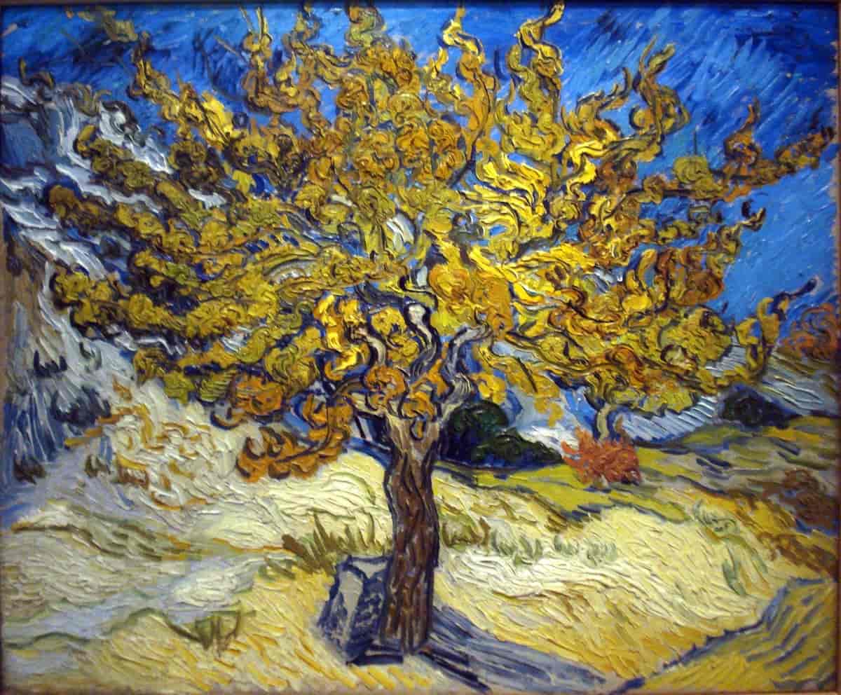 Vincent Van Gogh photo #88807, Vincent Van Gogh image