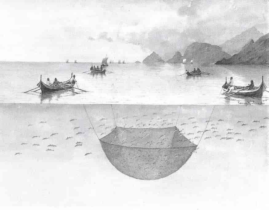 Lauritz Haalands illustrasjon av fiske med synkenot fra ca. 1900. Original i Norges Fiskerimuseum