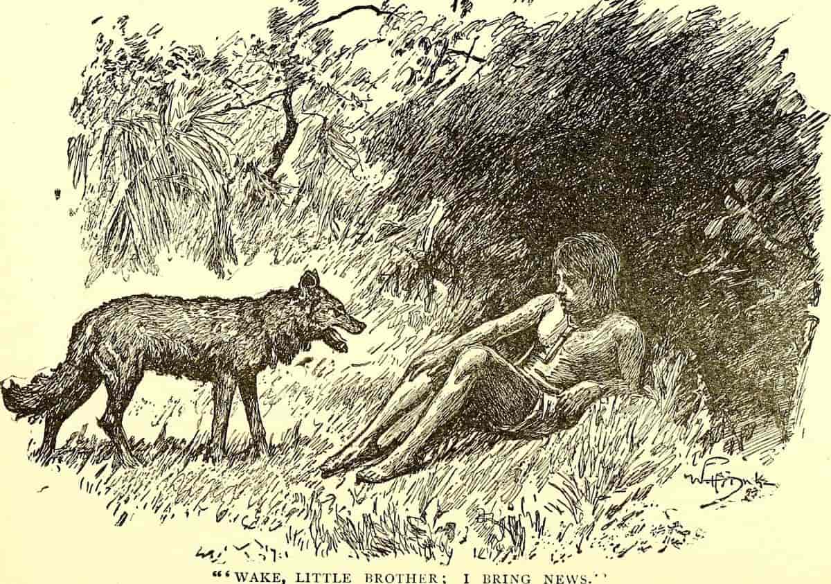 Mowgli og en av ulvebrødrene