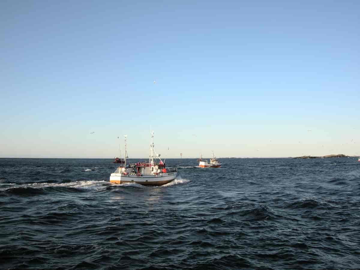 Kystfiskefartøy på tur mot land