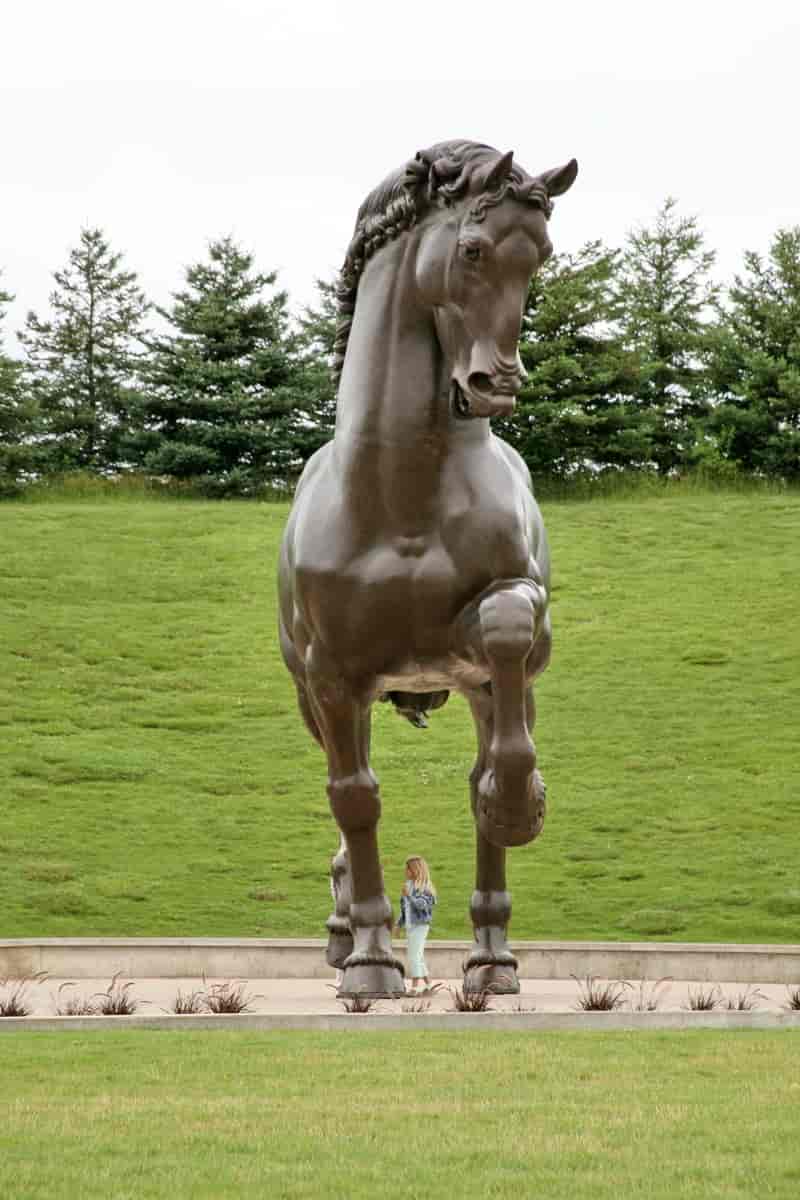 Leonardos hest