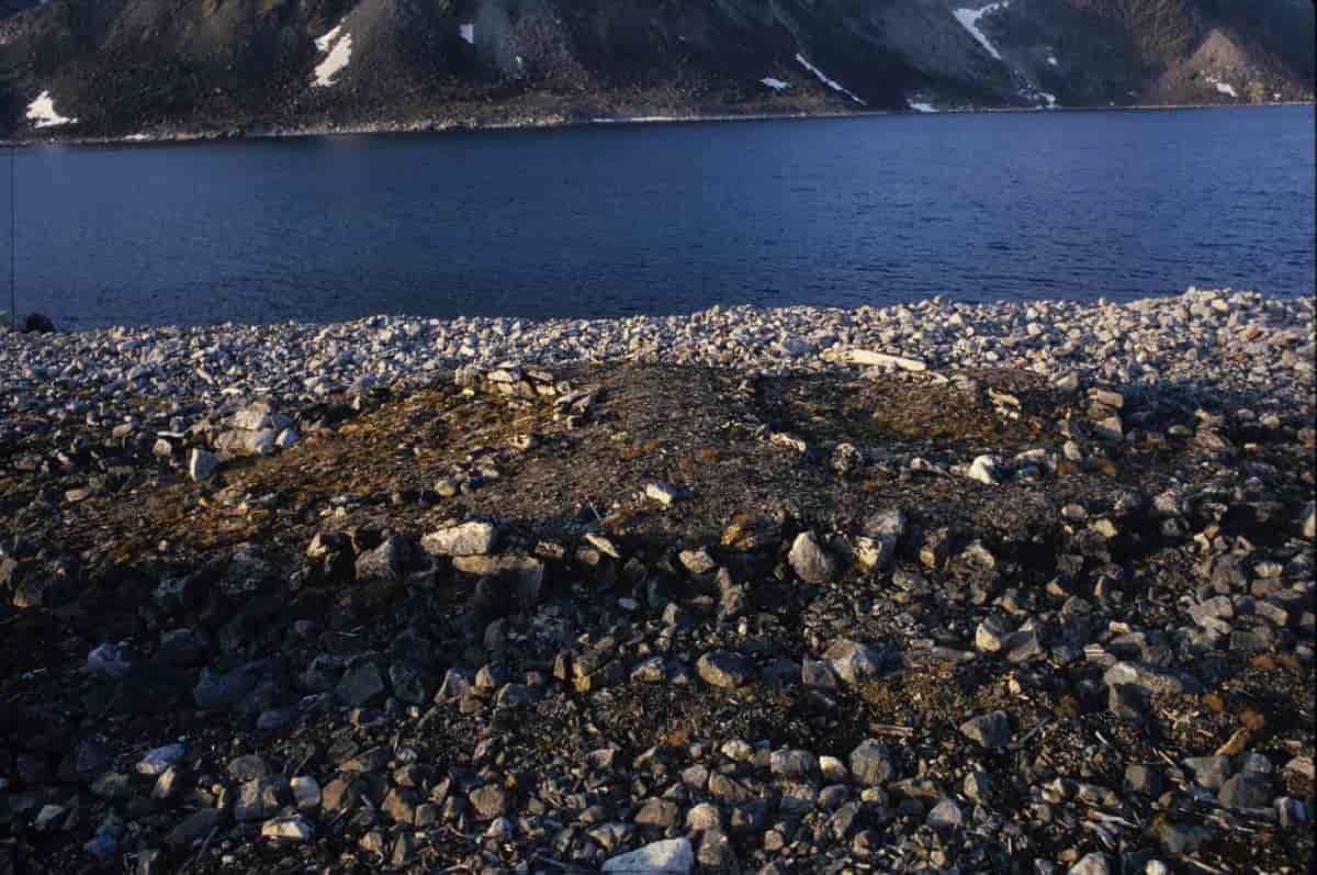 Kobbefjorden
