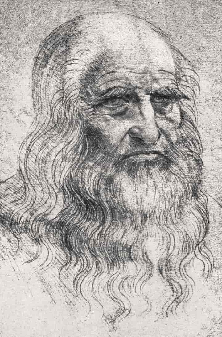 Leonardo Da Vinci photo #97605