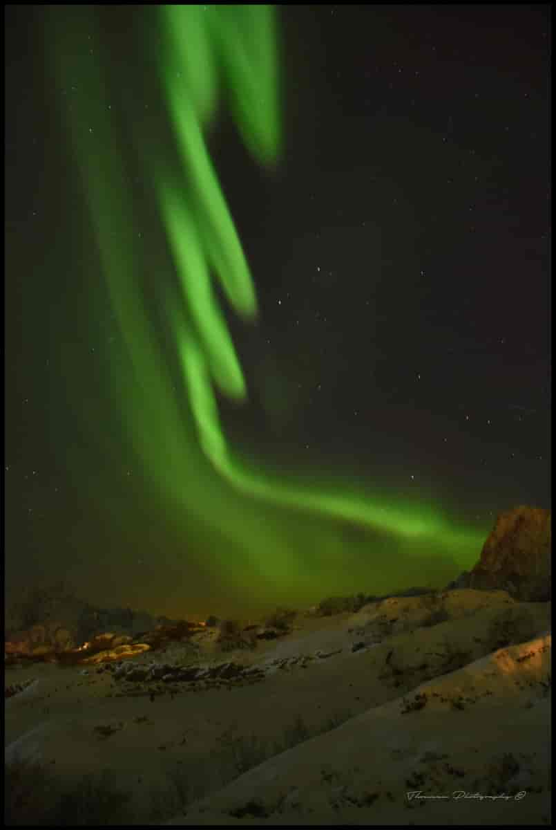 Aurora polaris i Lofoten