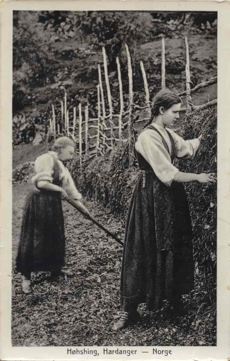 Hesjing i Hardanger i 1892. Dei lange raiene er bundne til staurane med vidjer.