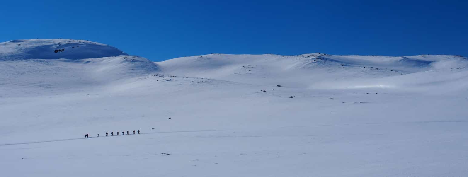 Skiturister på Hardangervidda