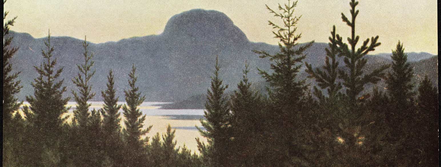 Andersnatten (postkort) av Theodor Kittelsen