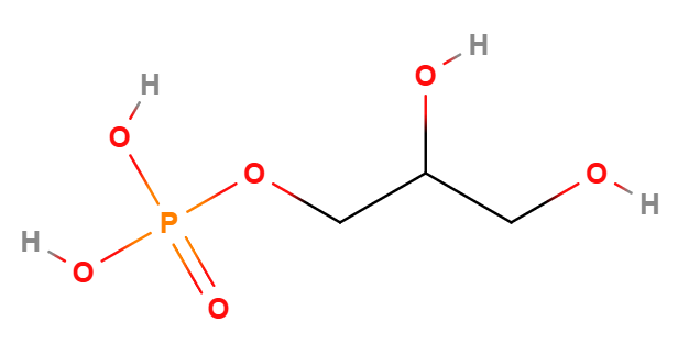 Glyserol-3-fosfat
