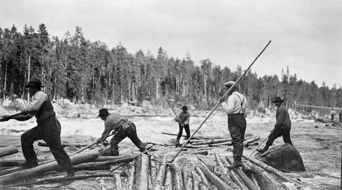 Tømmerfløting i Trysil omkring 1920.